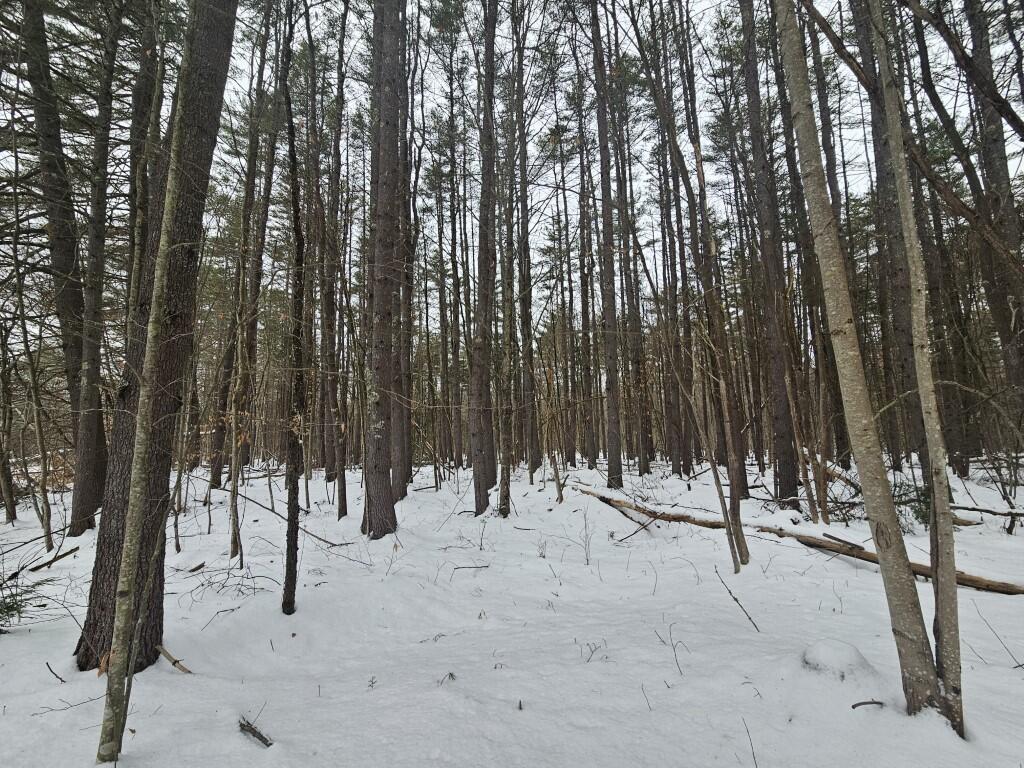 31 North Fryeburg Road Fryeburg, ME 04037 - Photo 1 of 28 1 Lot White Pine