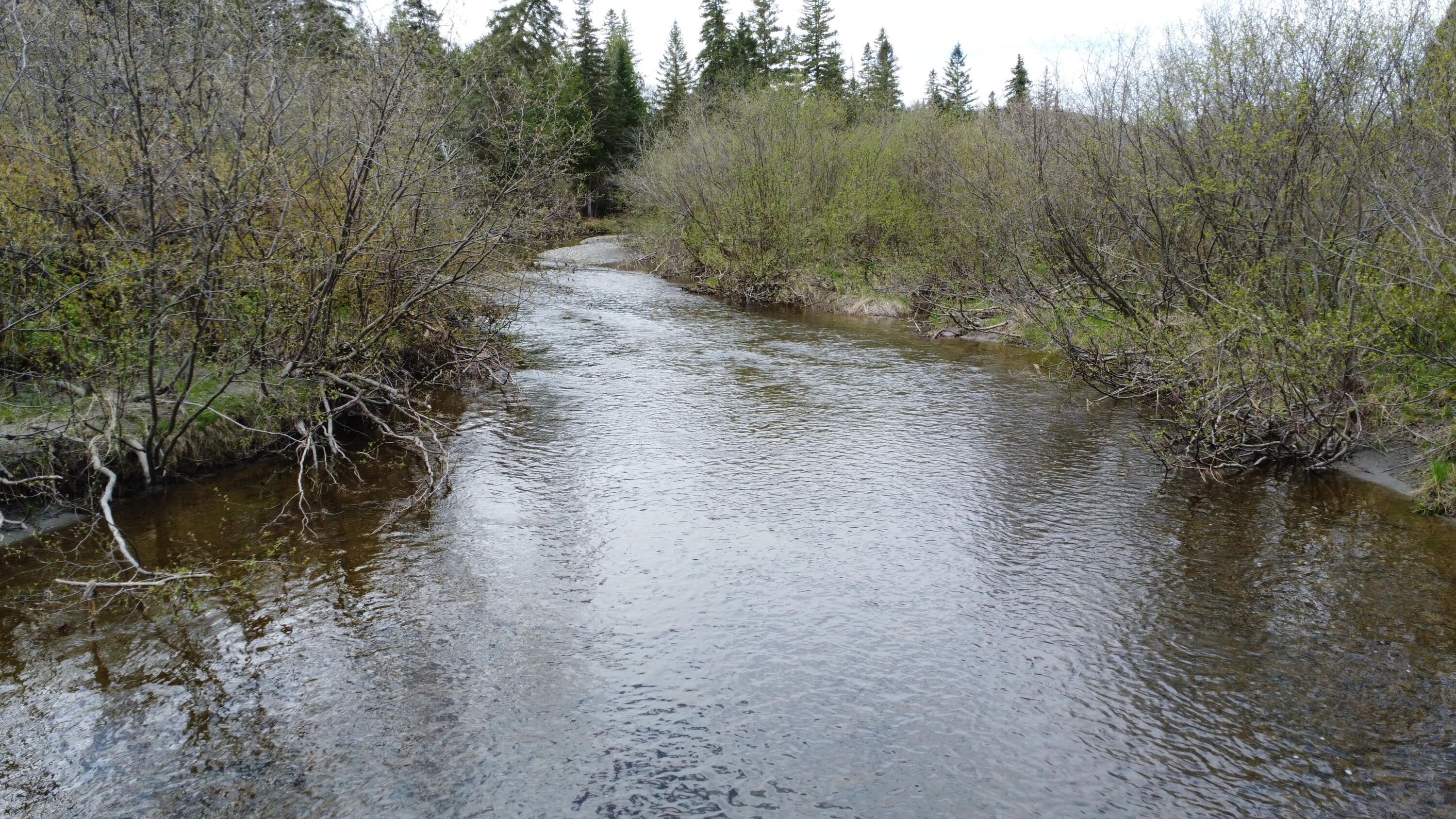 M5-l15 Alexander Road Van Buren, ME 04785 - Photo 16 of 18 dji_fly_20260521_100814_388_177937251101
