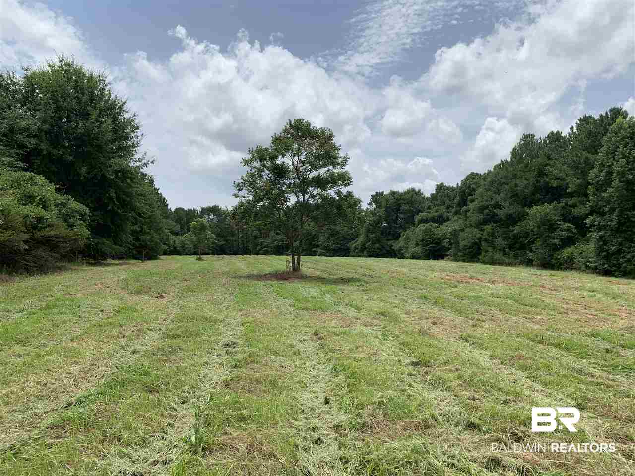 1178 Dry Lake Road Luverne, AL 36049 - Photo 2 of 50