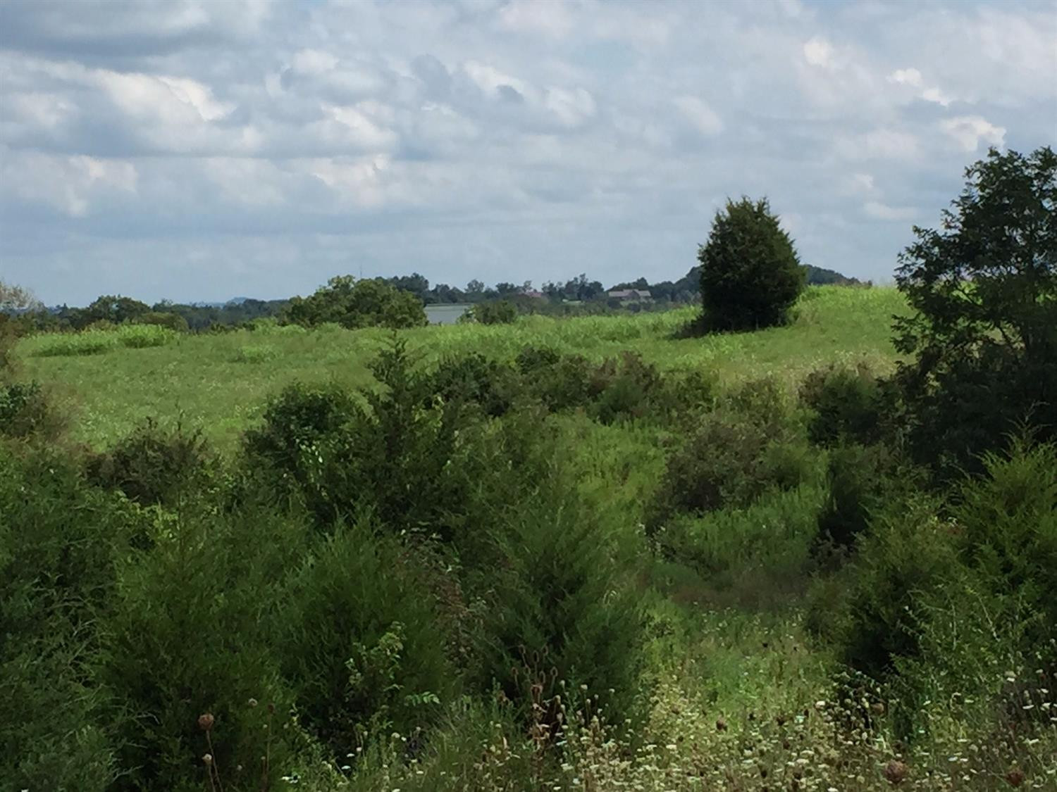 2 Cedar Ridge Road Stanford, KY 40484 - Photo 17 of 18 Photo 17