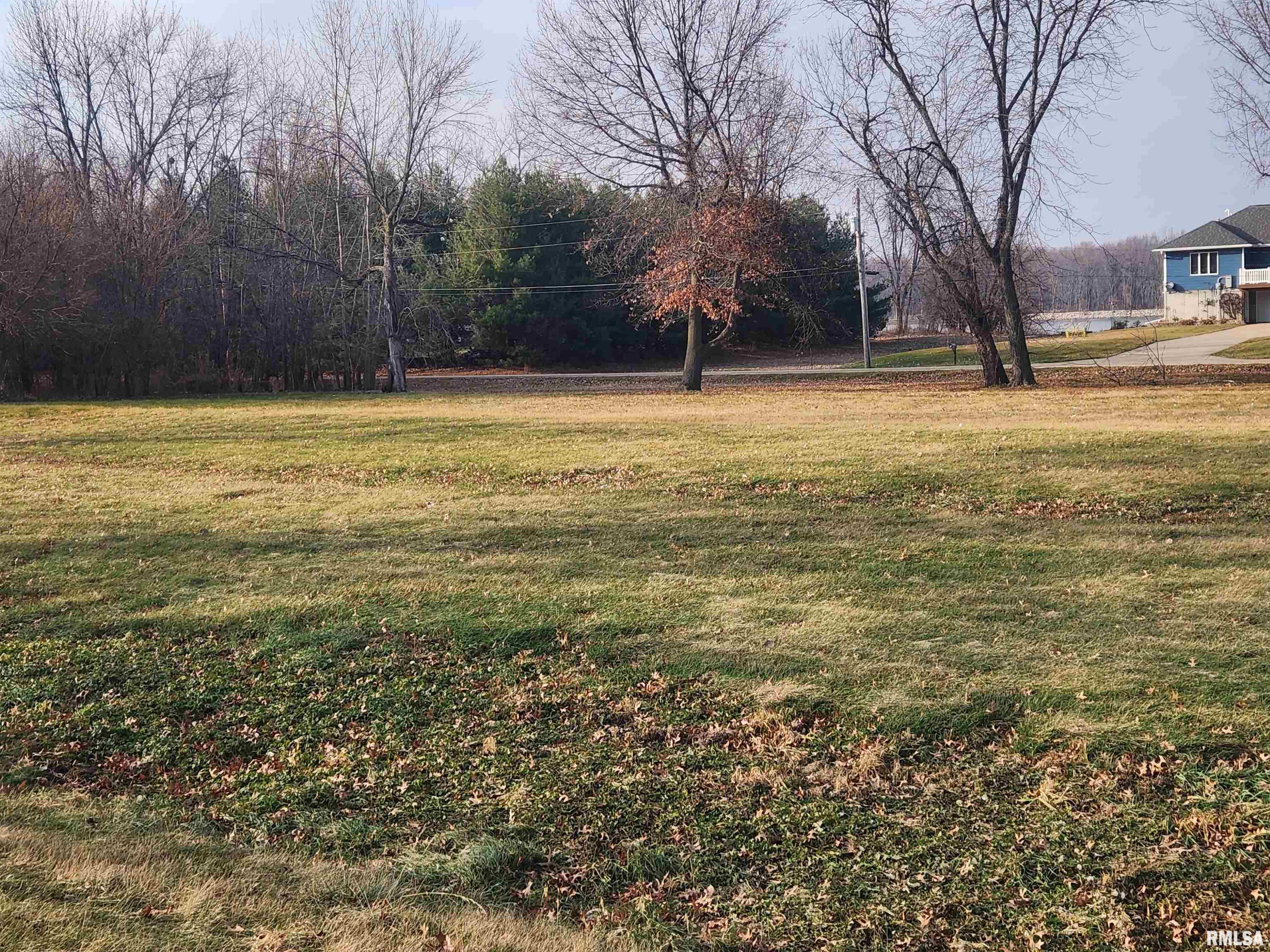 206 9th Avenue North, Unit NORTH Albany, IL 61230 - Photo 4 of 4