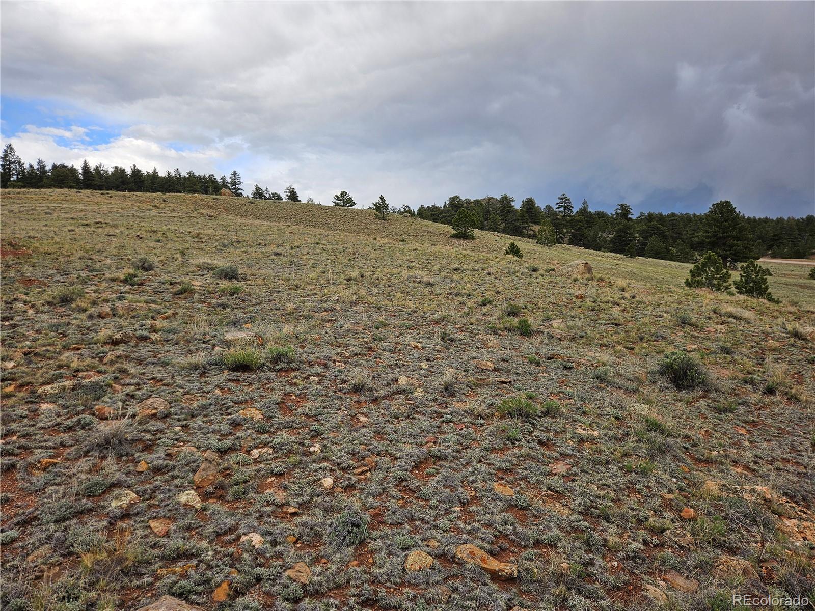 Fernando Trail Hartsel, CO 80449 - Photo 32 of 35