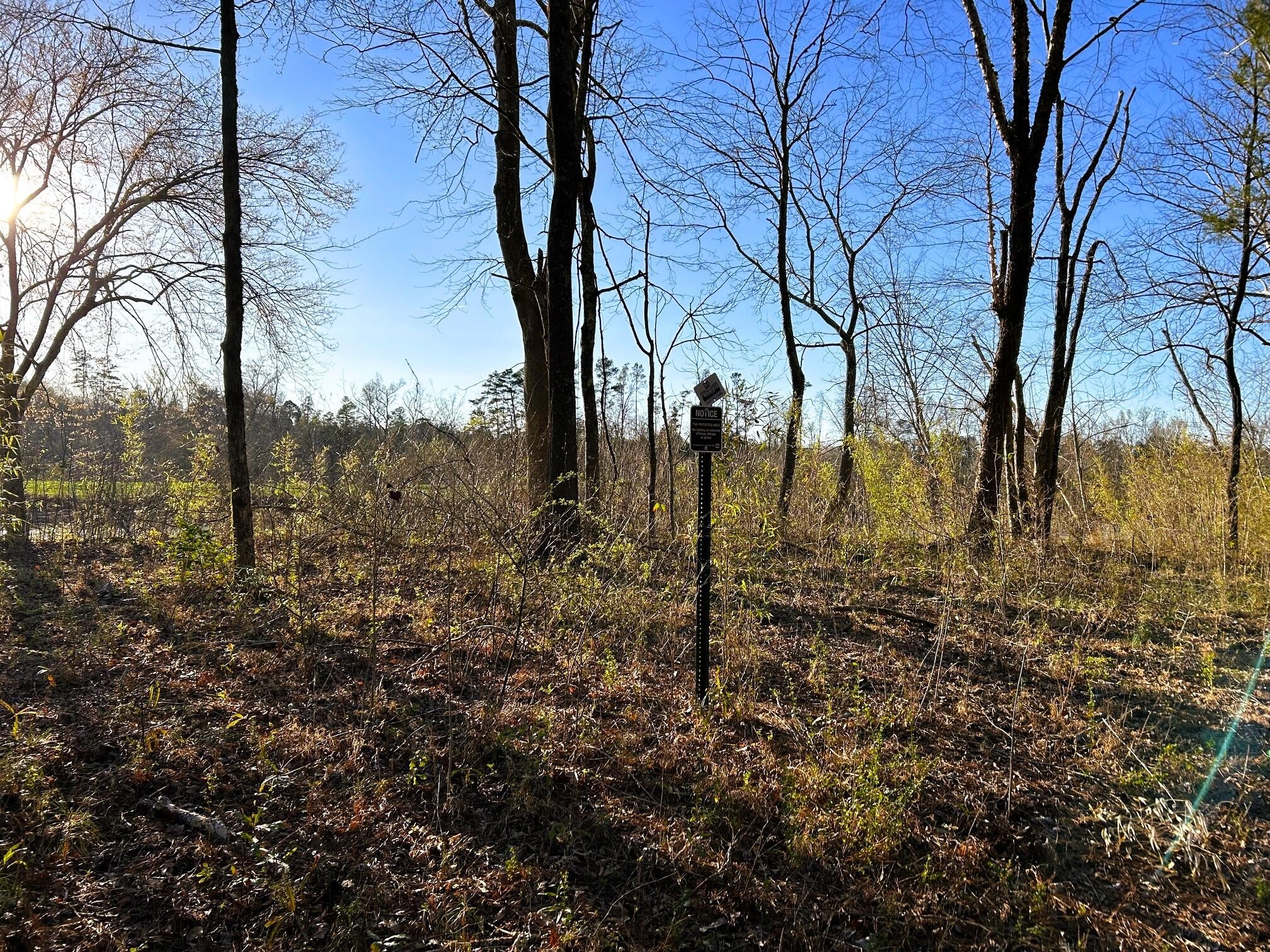 4 County Road 950 Charleston, TN 37310 - Photo 5 of 15