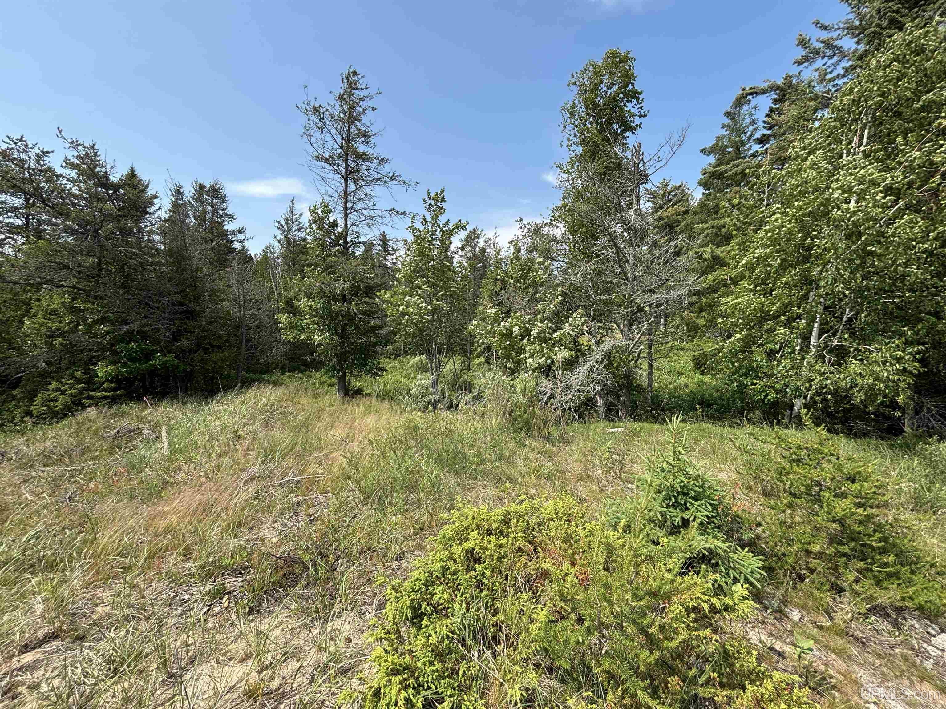 Tbd West Beach Road Naubinway, MI 49762 - Photo 29 of 45