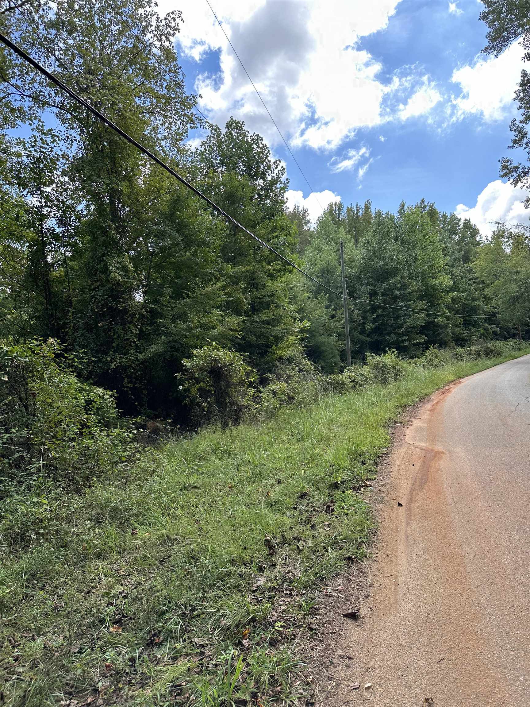 310 State Rd S-42-561 Greer, SC 29651 - Photo 2 of 8