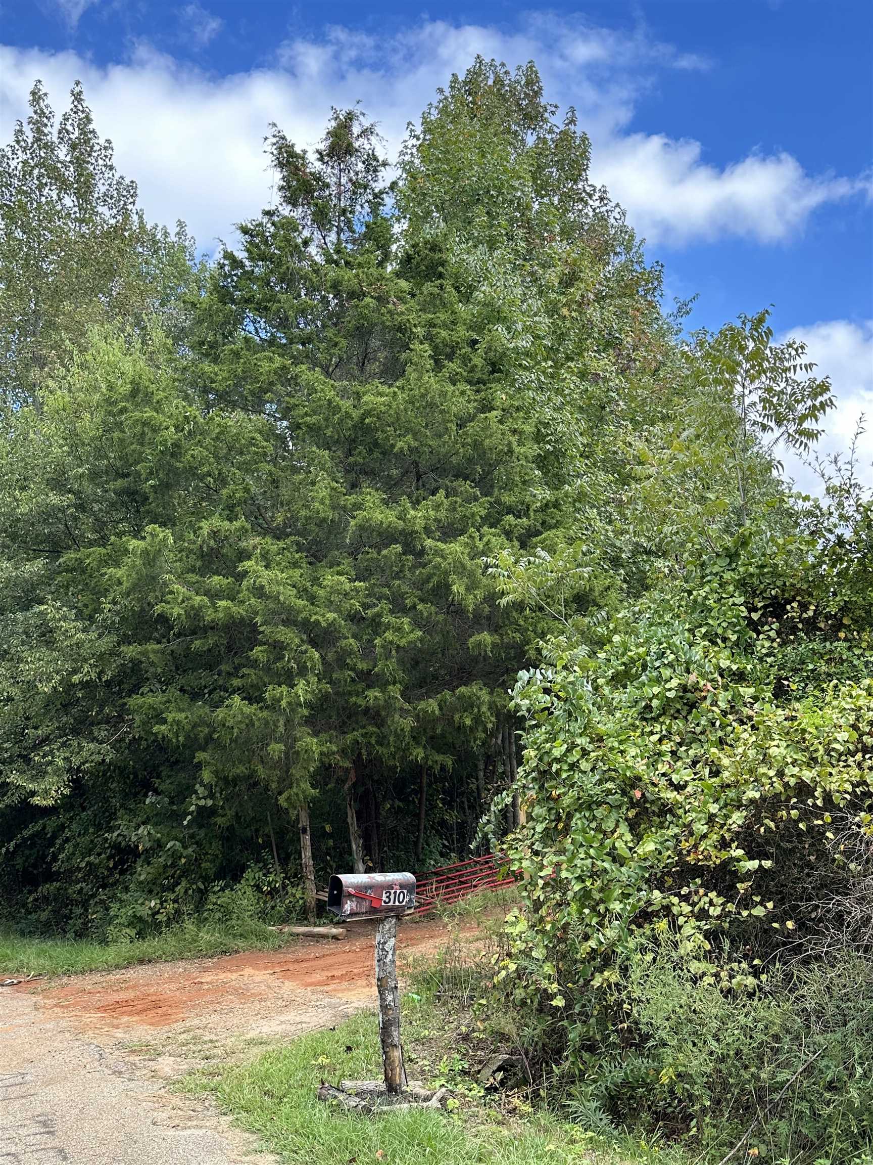 310 State Rd S-42-561 Greer, SC 29651 - Photo 4 of 8