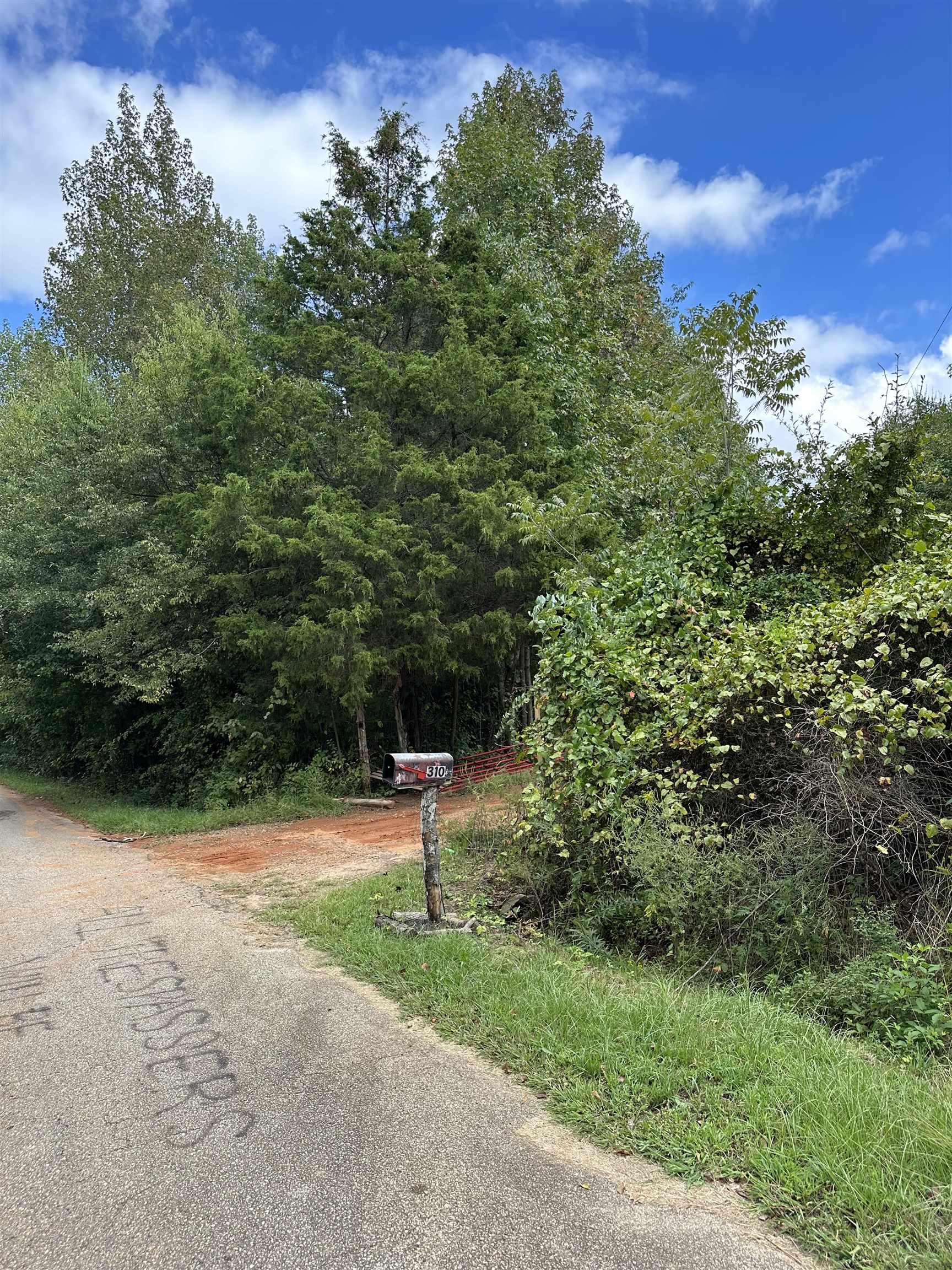 310 State Rd S-42-561 Greer, SC 29651 - Photo 6 of 8