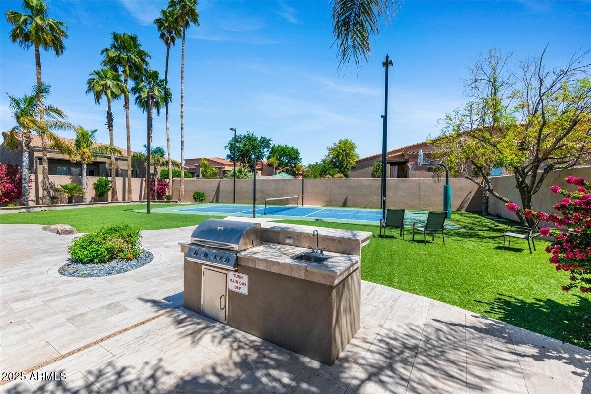6202 East McKellips Road, Unit 83 Mesa, AZ 85215 - Photo 23 of 54 a view of a backyard with a garden and palm trees