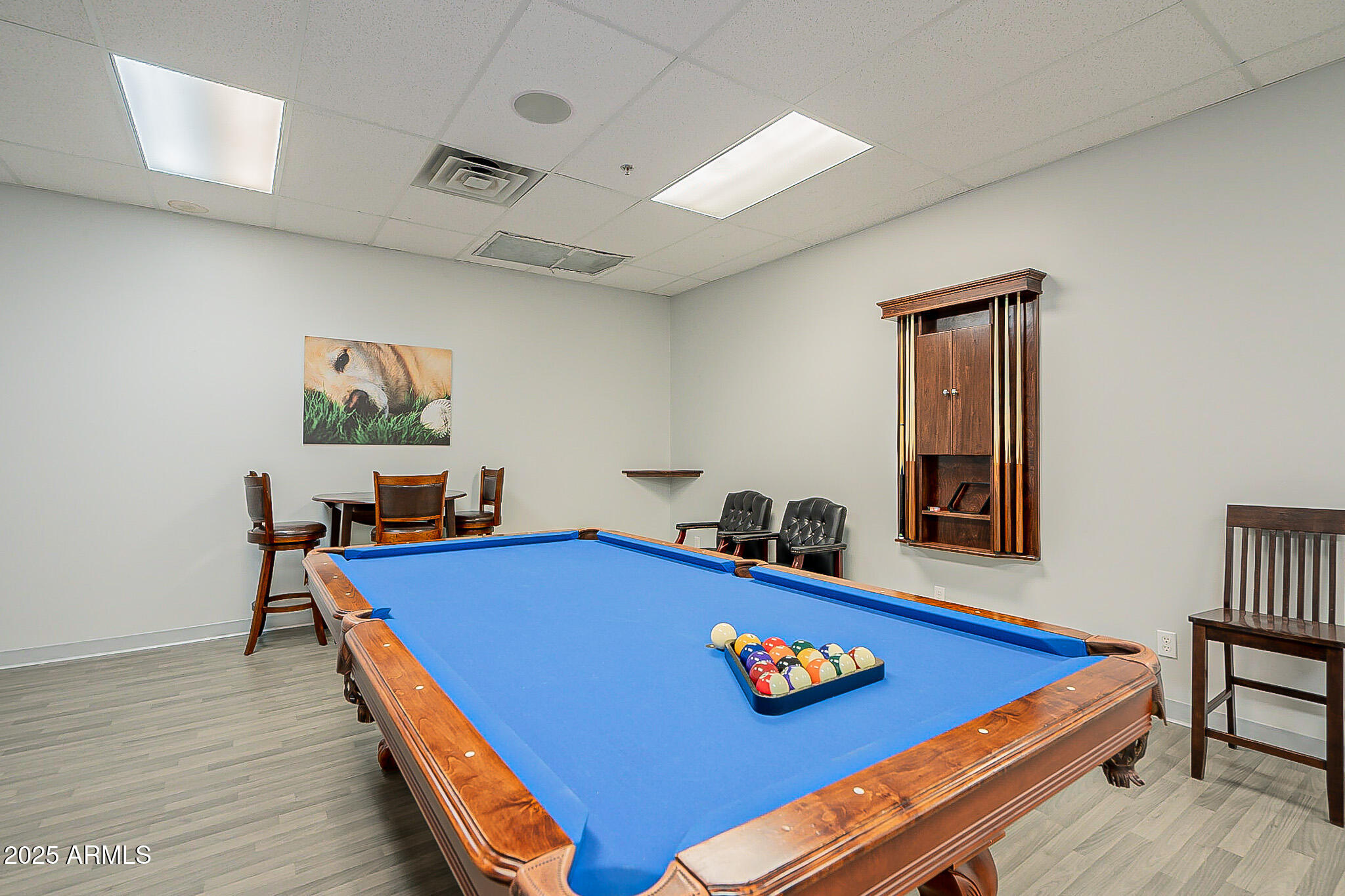 6202 East McKellips Road, Unit 83 Mesa, AZ 85215 - Photo 40 of 54 Community Billiards-16