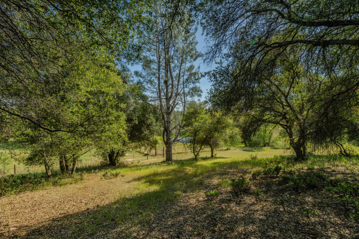 6216 Trout Lane Mountain Ranch, CA 95246 - Photo 34 of 39 a view of yard with green space