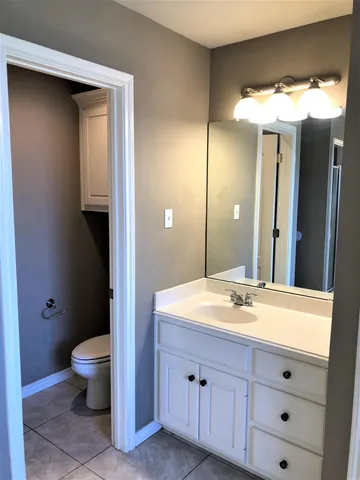 a bathroom with a sink a toilet and a large mirror
