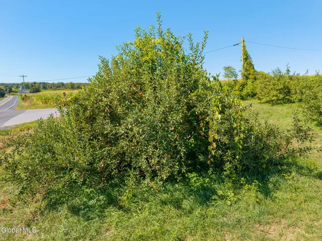 $1,990,000 | 5635 Highway 40, Argyle, NY 12809