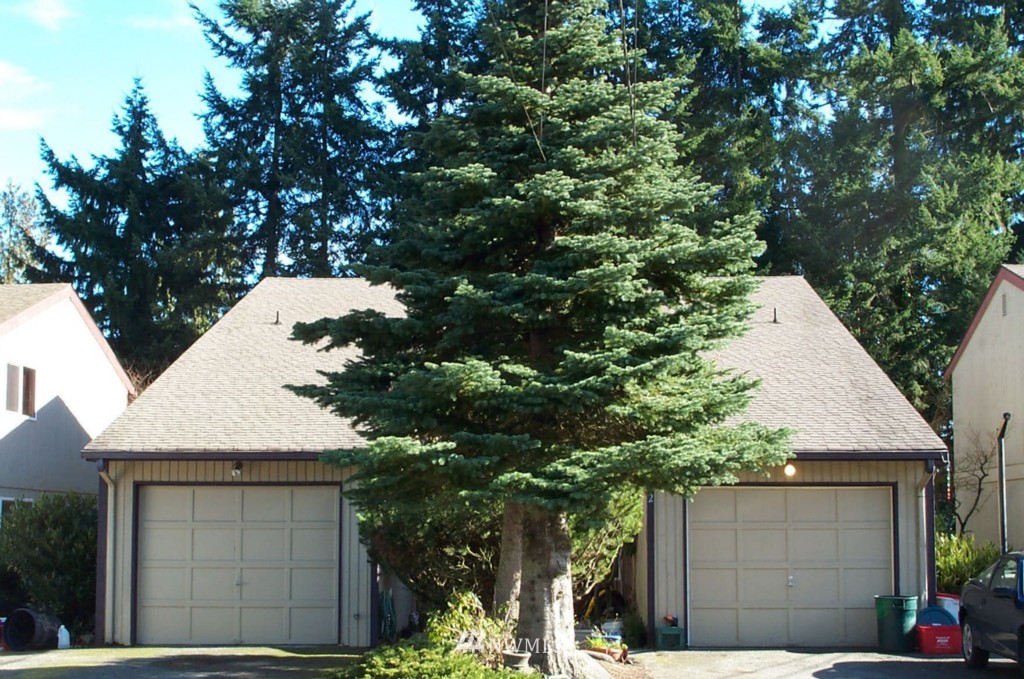 6613 Cady Road Everett, WA 98203 - Photo 1 of 1 a view of house with a tree in front of it