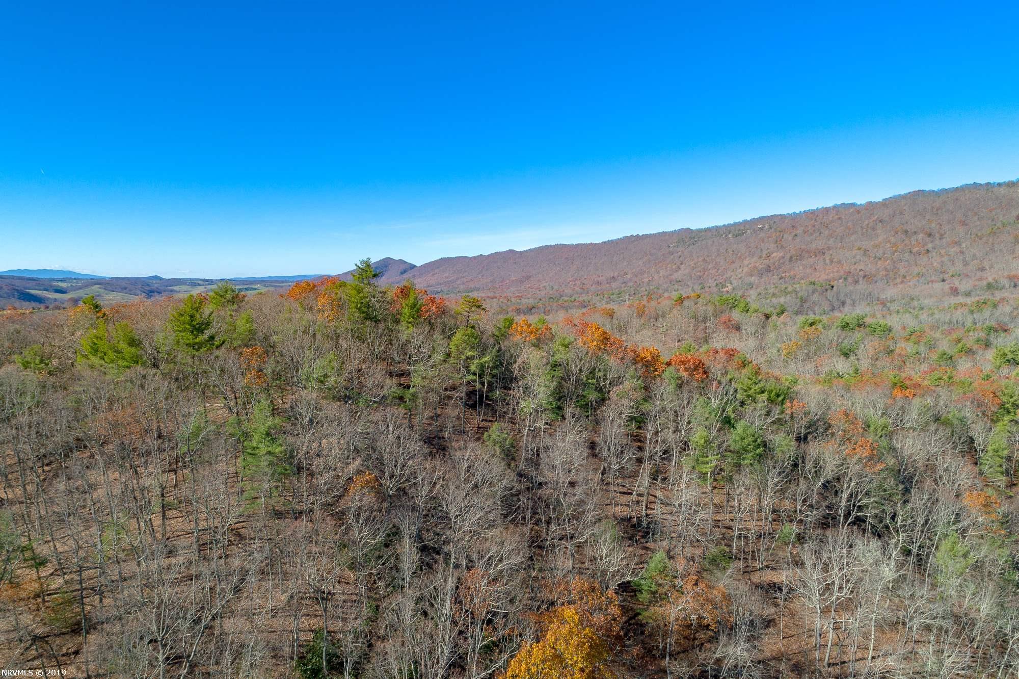 Tbd Mudlick Road Wytheville, VA 24382 - Photo 41 of 44 Gallery Image 41