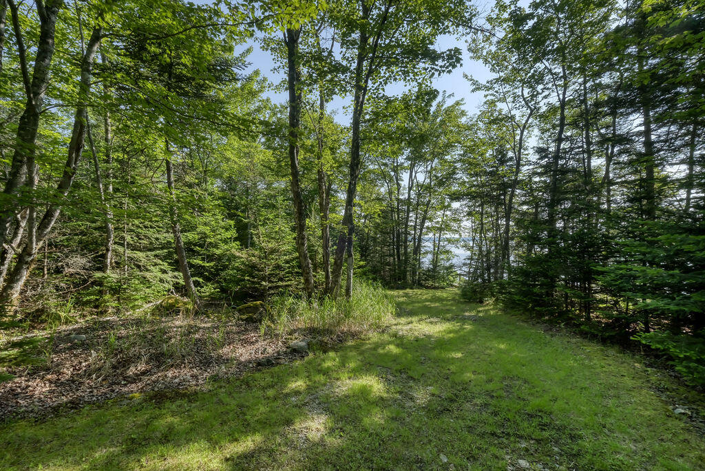 402 Reach Road Deer Isle, ME 04627 - Photo 13 of 15 402ReachRd-13