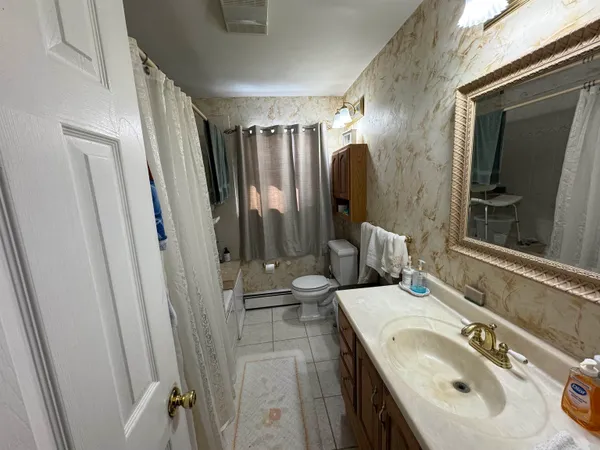 a bathroom with a sink a toilet and a mirror