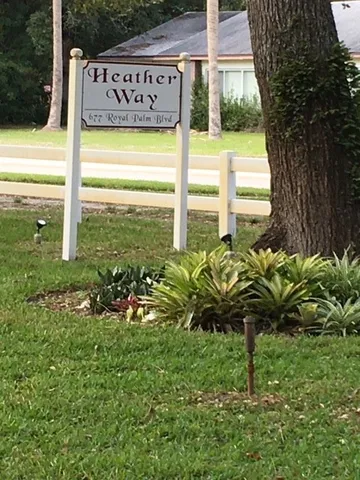 a close up of a plant in a garden