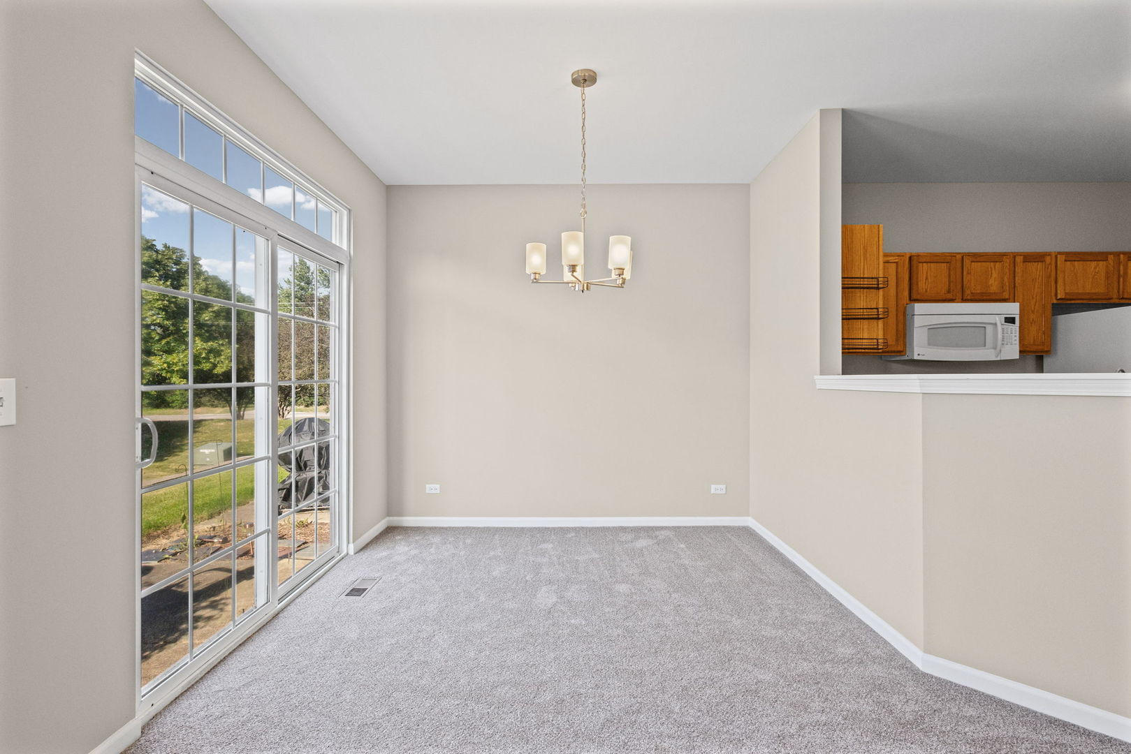 535 North Red Deer Road, Unit 535 Round Lake, IL 60073 - Photo 5 of 18