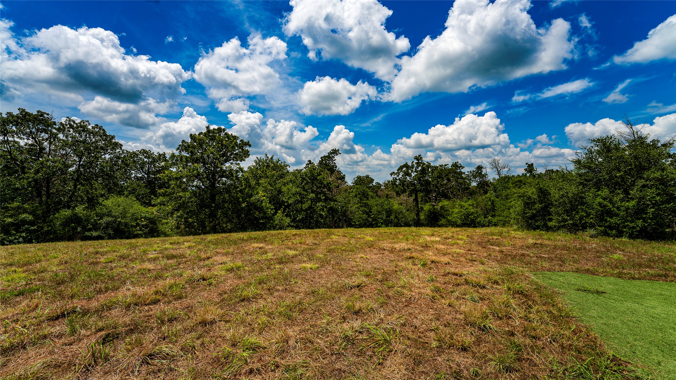 1470 22 Hills Road Gause, TX 77857 - Photo 35 of 35 A verdant lot awaits your vision, bordered by a dense tree line under a vast, cloud-filled sky.