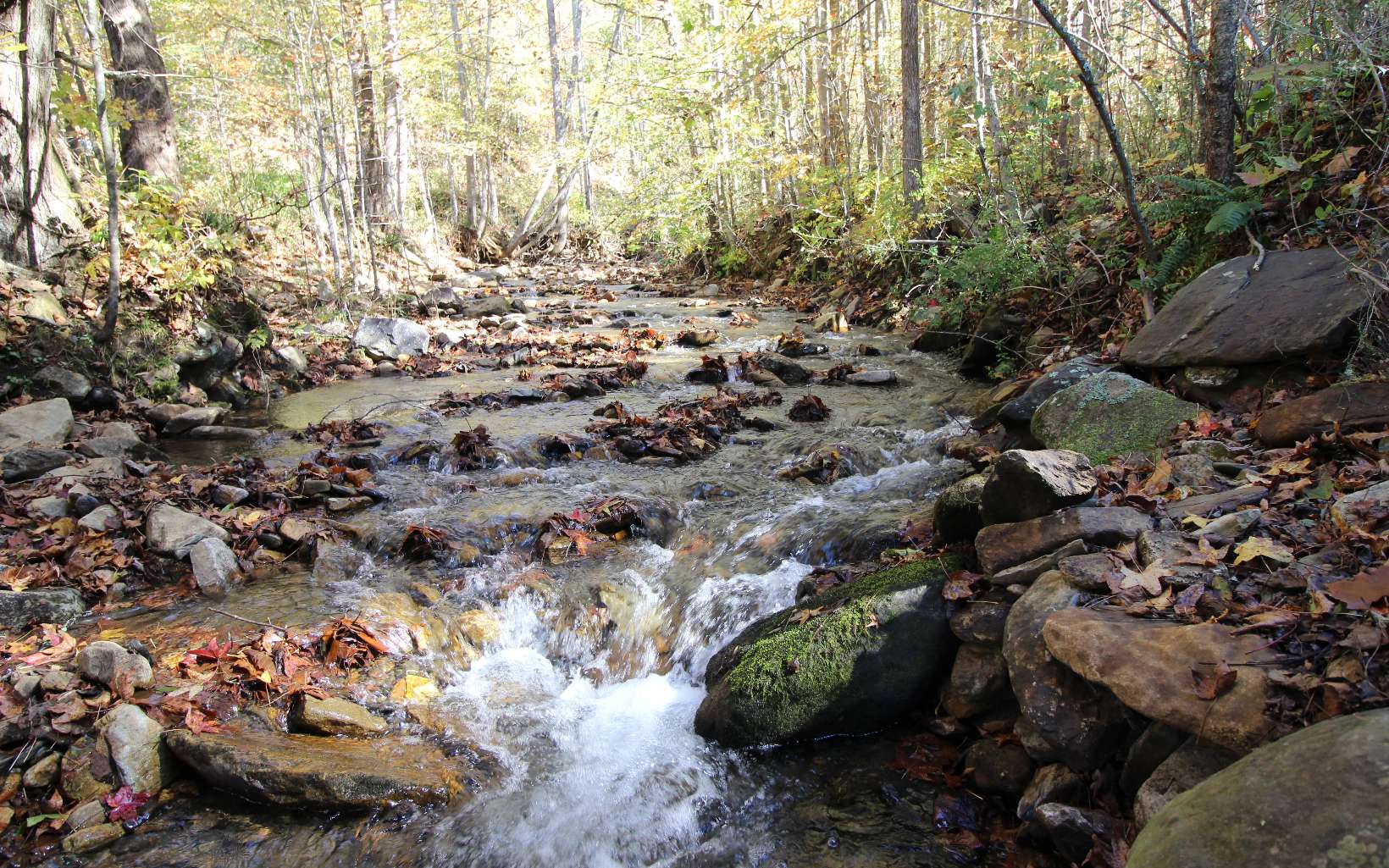 Lot 6 Katerina Lane Murphy, NC 28906 - Photo 1 of 4 Main View