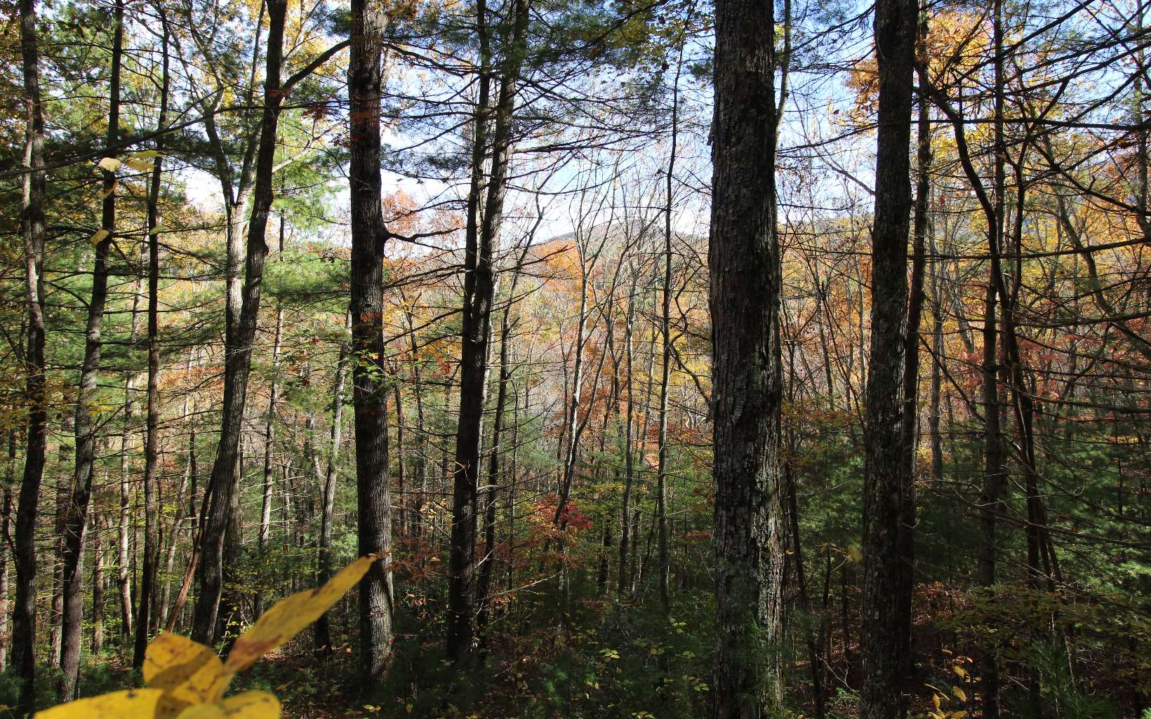 Lot 6 Katerina Lane Murphy, NC 28906 - Photo 2 of 4 Additional View