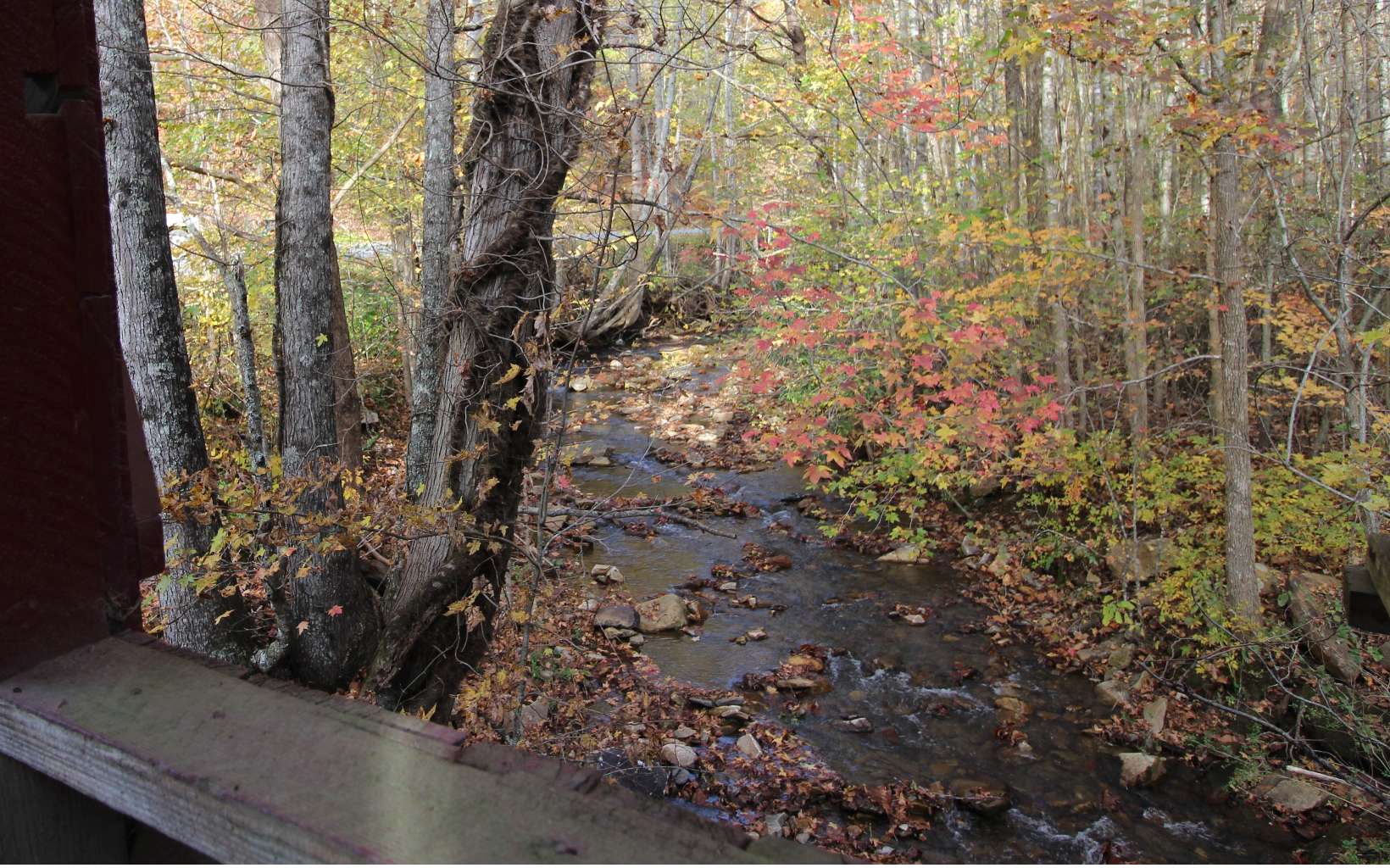 Lot 6 Katerina Lane Murphy, NC 28906 - Photo 3 of 4 Additional View