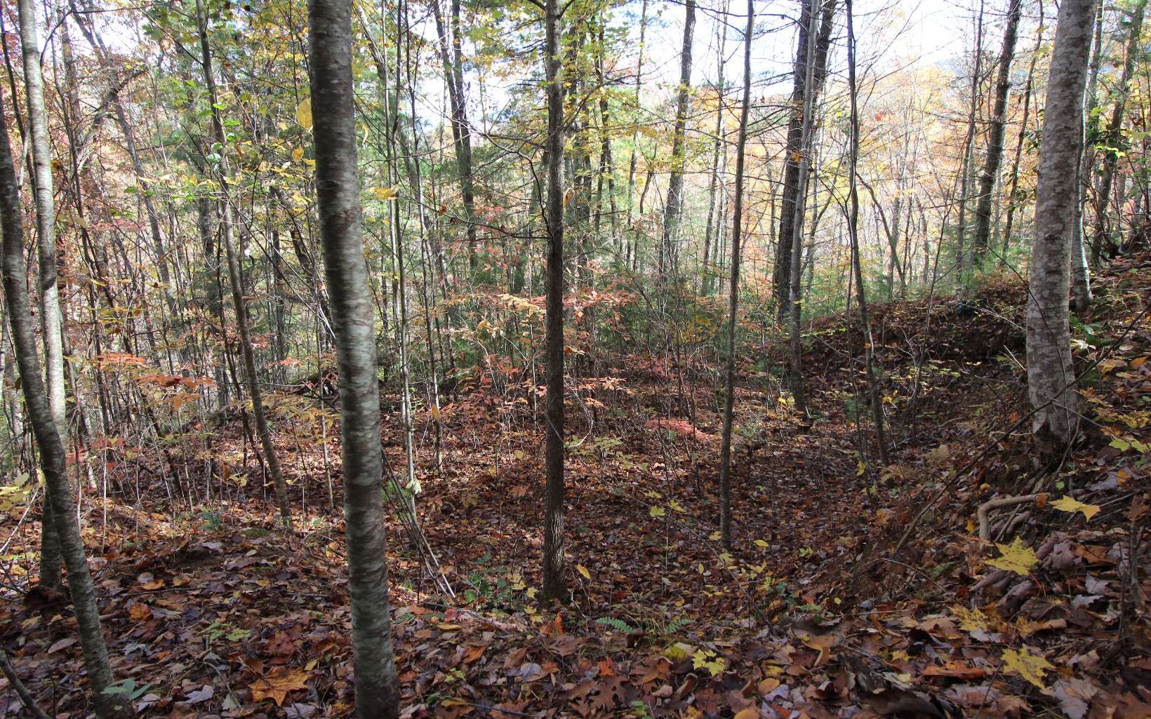 Lot 6 Katerina Lane Murphy, NC 28906 - Photo 4 of 4 Additional View