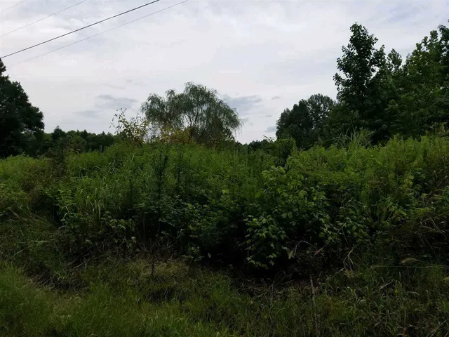 $23,000 | 193 Parkburg Road, Jackson, TN 38301