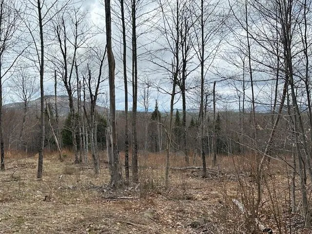 $85,000 | 33 Bay View Drive, Greenville, ME 04441