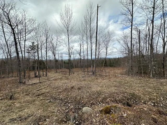 $85,000 | 33 Bay View Drive, Greenville, ME 04441