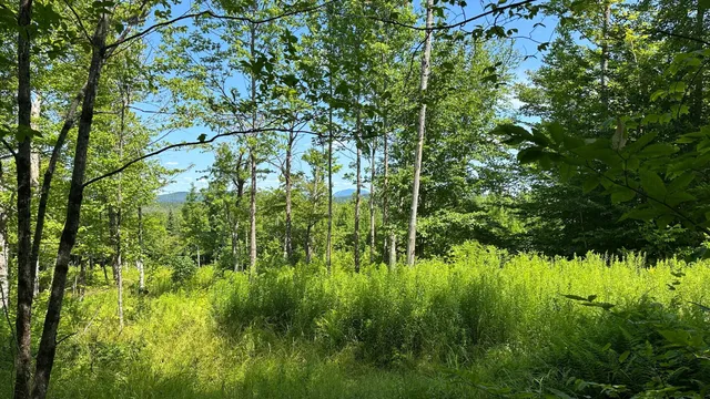 $85,000 | 33 Bay View Drive, Greenville, ME 04441