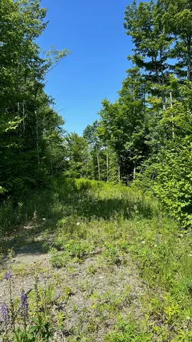 $85,000 | 33 Bay View Drive, Greenville, ME 04441