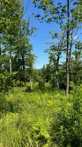 $85,000 | 33 Bay View Drive, Greenville, ME 04441