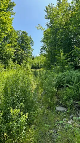 $85,000 | 33 Bay View Drive, Greenville, ME 04441