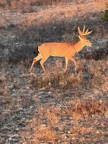 a view of a yard with a outdoor space