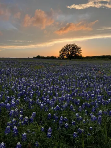 $3,000,000 | 2265 County Road 106, Purmela, TX 76566