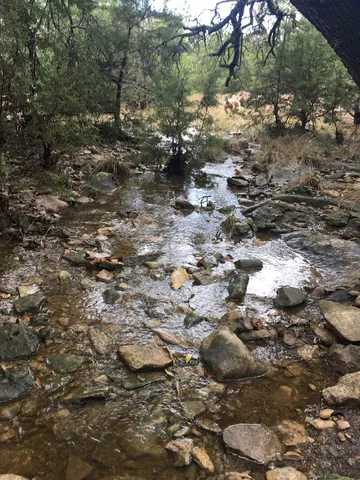 a backyard of a house with a yard and outdoor seating