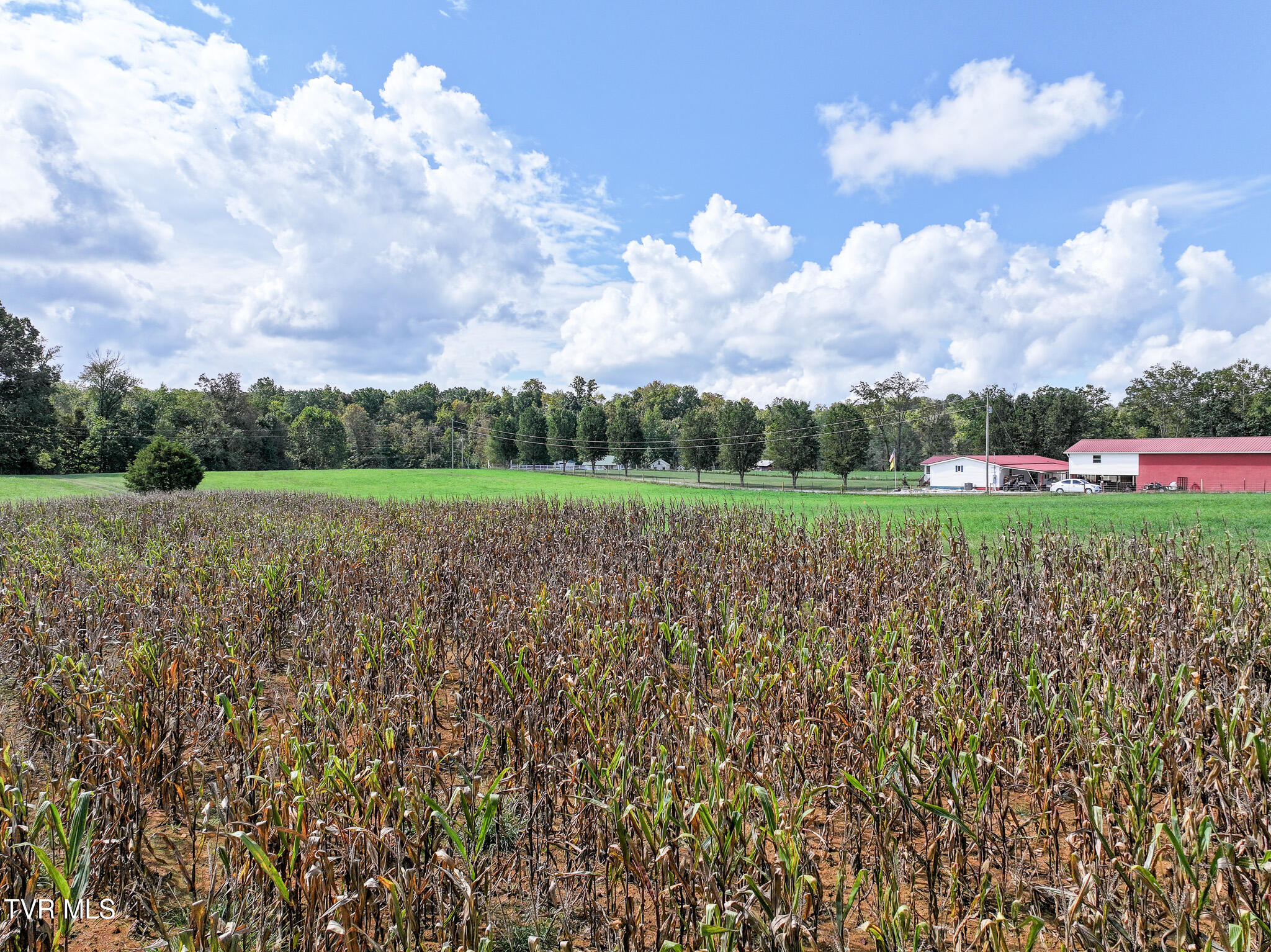Tbd Glendale Road Bybee, TN 37713 - Photo 18 of 25 DJI_20250926074220_0789_D