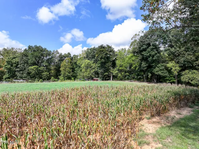$210,000 | Tbd Glendale Road, Bybee, TN 37713