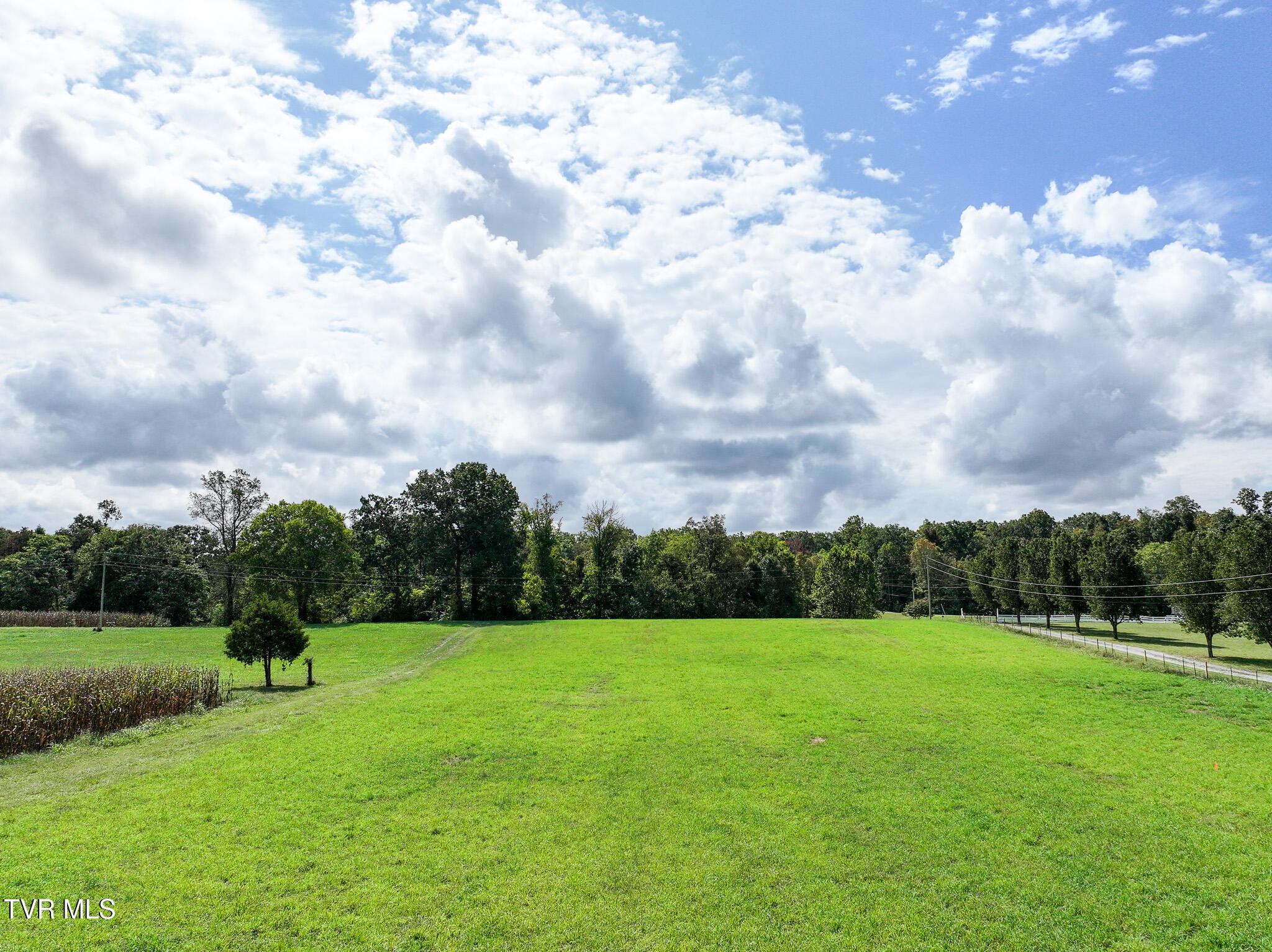 Tbd Glendale Road Bybee, TN 37713 - Photo 22 of 25 DJI_20250926074324_0795_D