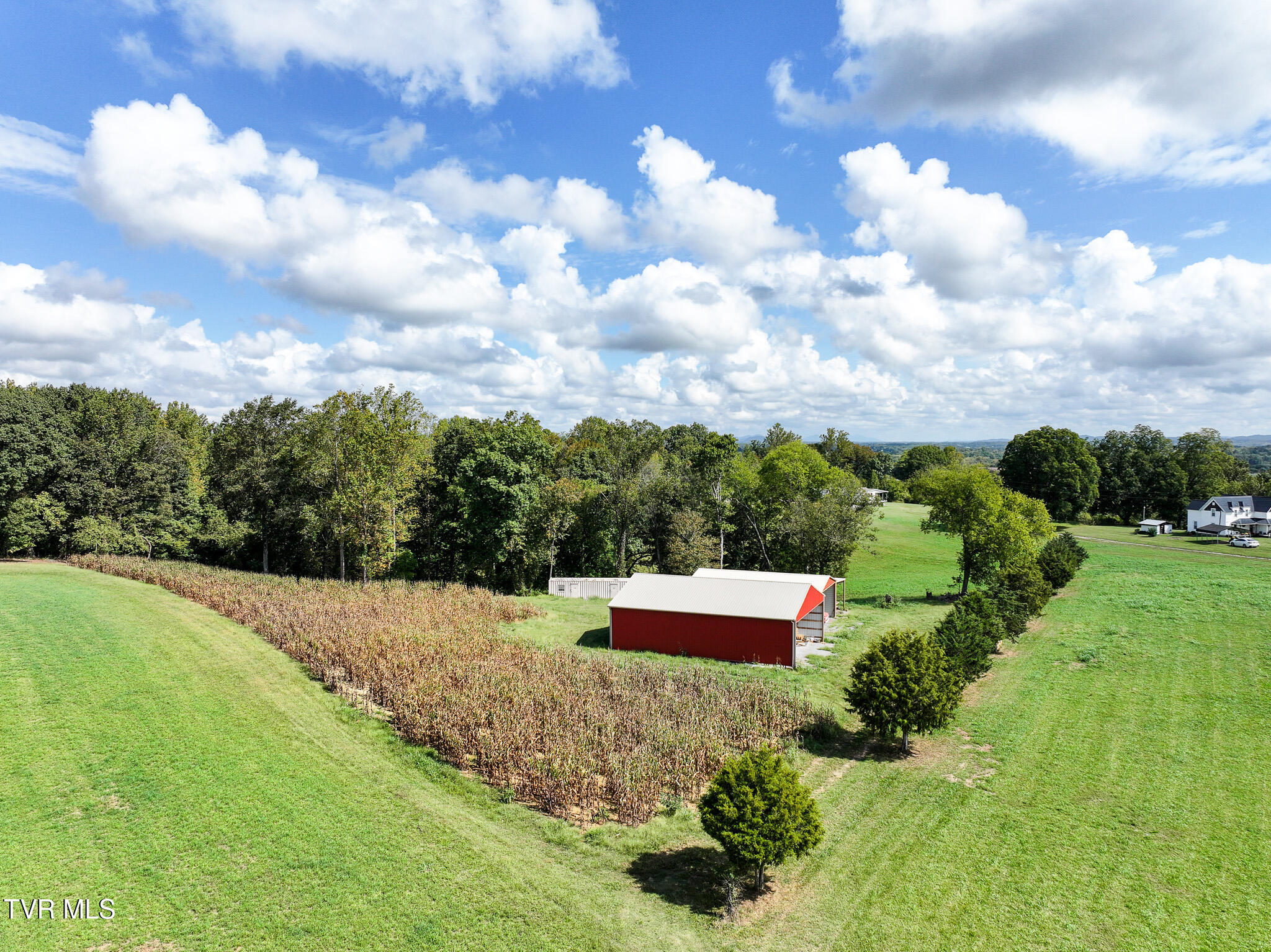 Tbd Glendale Road Bybee, TN 37713 - Photo 23 of 25 DJI_20250926074340_0796_D