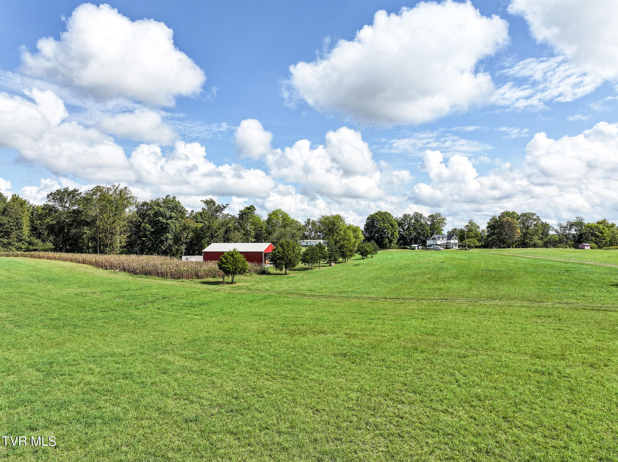 Tbd Glendale Road Bybee, TN 37713 - Photo 9 of 25 DJI_20250926074020_0779_D