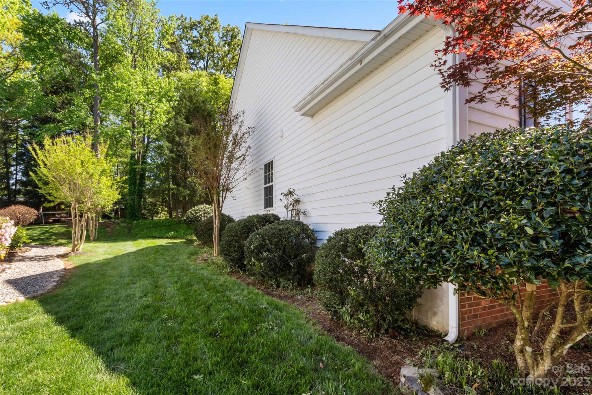 912 Cadogan Court Fort Mill, SC 29708 - Photo 21 of 26 a backyard of a house with plants and tree