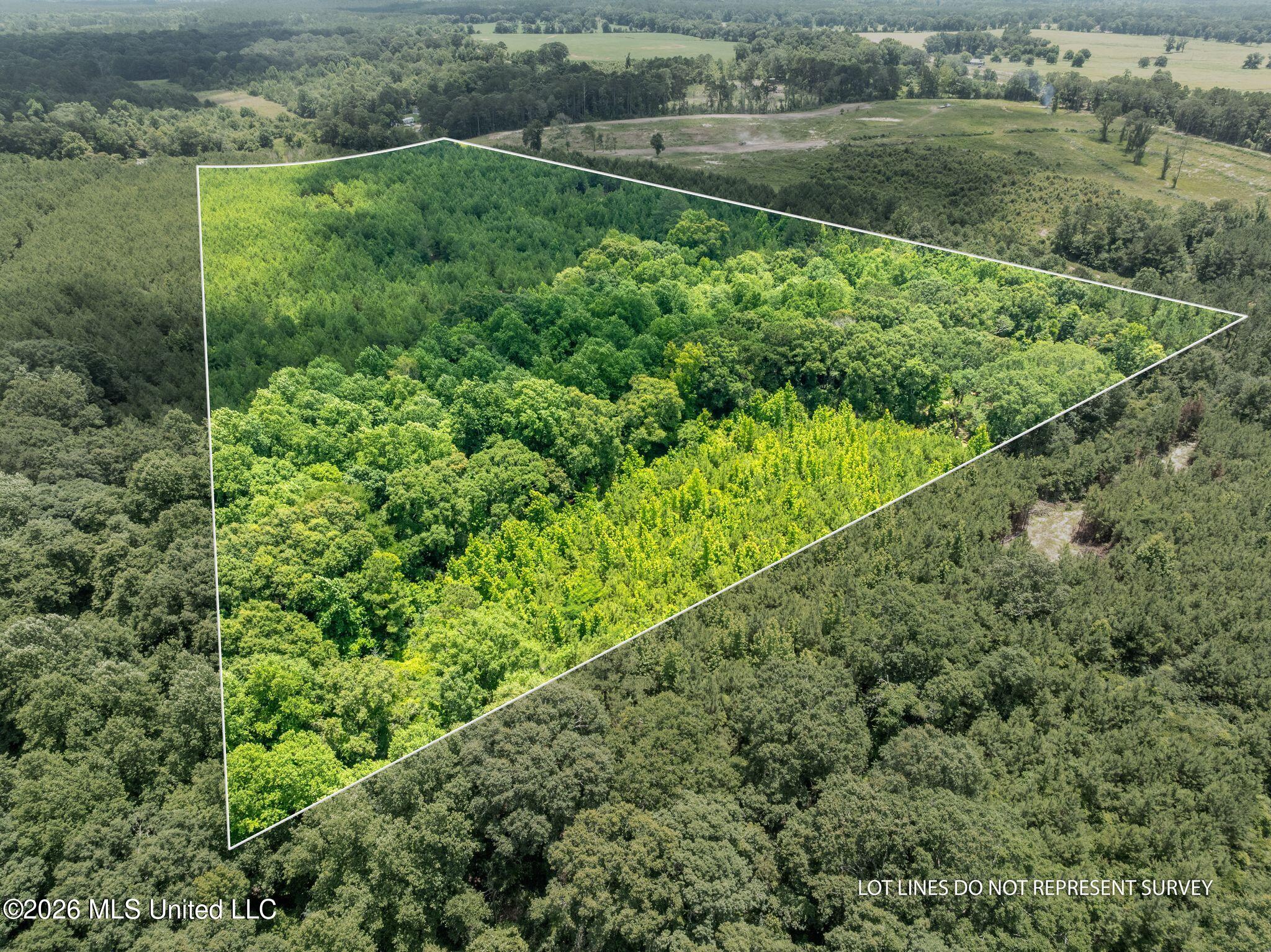 31-acres Ridgeland Road Bassfield, MS 39421 - Photo 23 of 27 85_Ridgeland_Rd-23