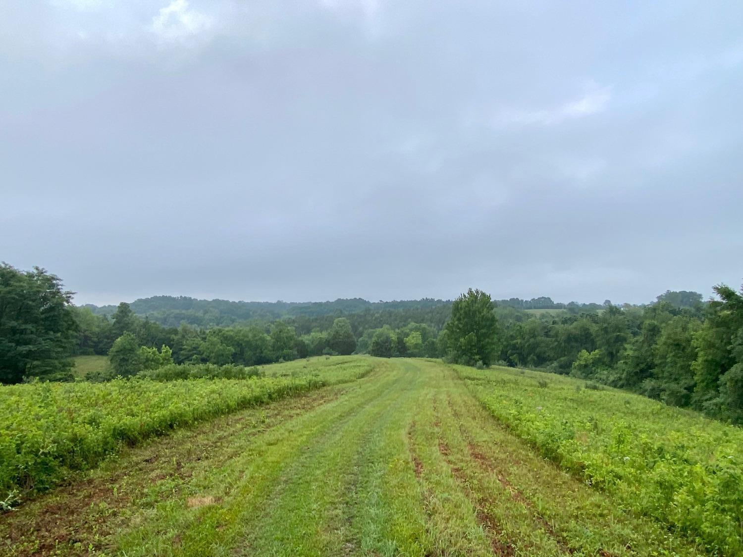 Acre Brier Ridge Road West Union, OH 45693 - Photo 3 of 27