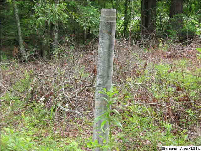 0 Rockcrusher Road, Unit 10 AC Steele, AL 35987 - Photo 8 of 8