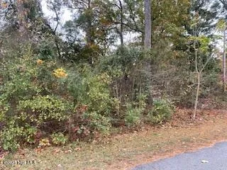 $10,500 | 131 Powhatan Trail, Edenton, NC 27932