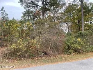 $10,500 | 131 Powhatan Trail, Edenton, NC 27932