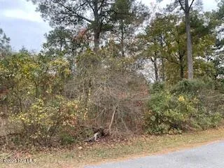 $10,500 | 131 Powhatan Trail, Edenton, NC 27932