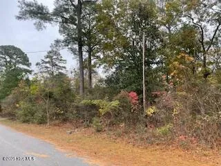 $10,500 | 131 Powhatan Trail, Edenton, NC 27932
